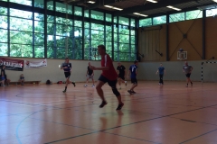 Handballtage beim SV-Stöckheim e.V.