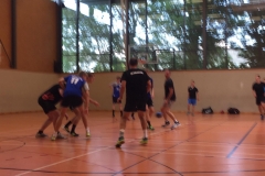 Handballtage beim SV-Stöckheim e.V.
