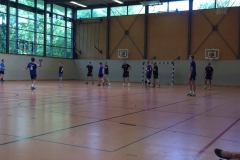Handballtage beim SV-Stöckheim e.V.