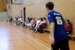 Handballtage beim SV-Stöckheim e.V.