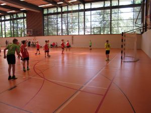 Handballtag 2018 SV Stöckheim e.V.