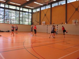 Handballtag 2018 SV Stöckheim e.V.